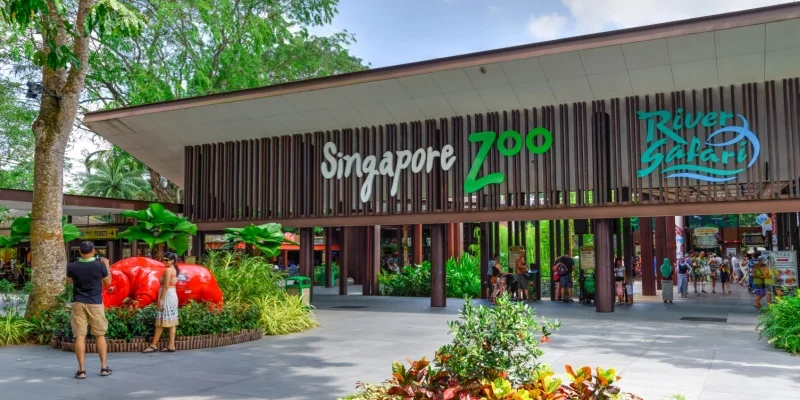 Singapore Zoo & Night Safari
