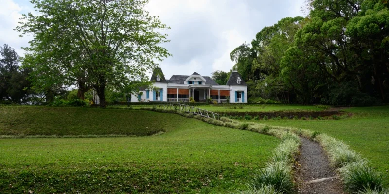 Tea Route (Bois Chéri & Saint Aubin)