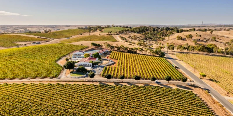 Barossa Valley
