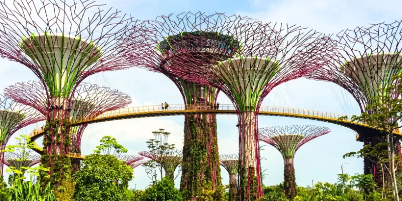 Gardens by the Bay