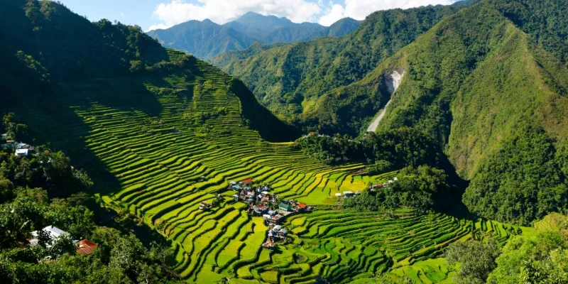 Banaue Rice Terraces