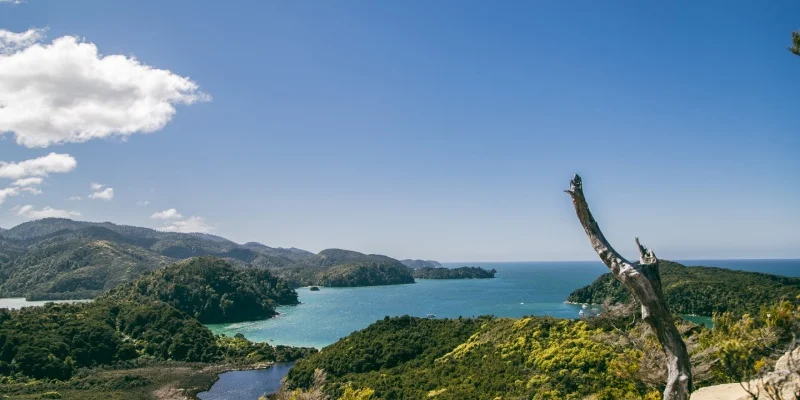 Abel Tasman National Park
