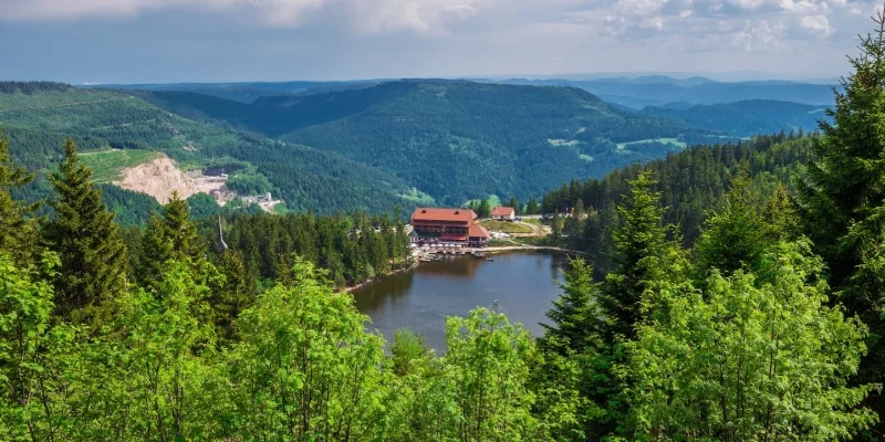 Black Forest (Schwarzwald)