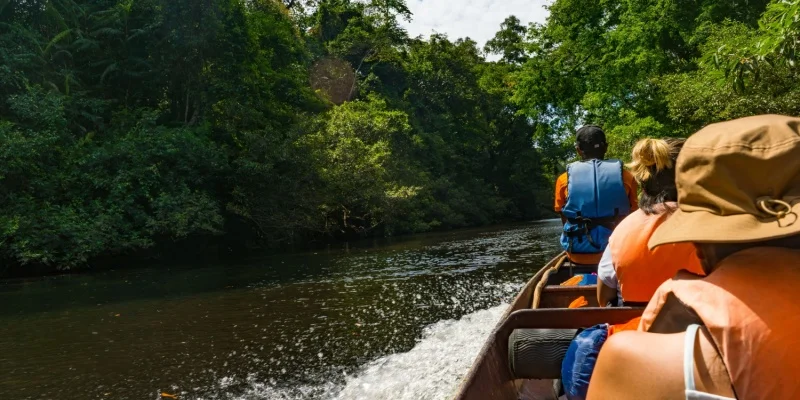 Ultimate List of Must-See Places to Visit in Malaysia 5 Taman Negara National Park