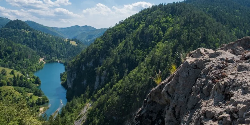 Explore These 13 Best Places to Visit in Serbia in 2025 5 Tara National Park