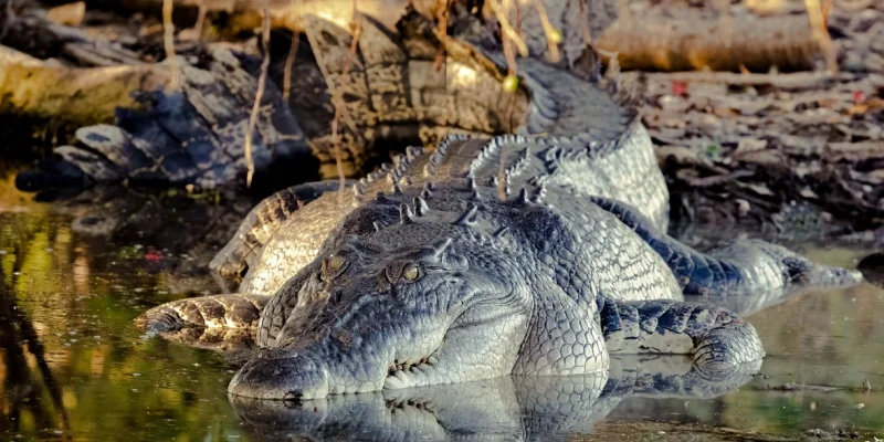 Kakadu National Park