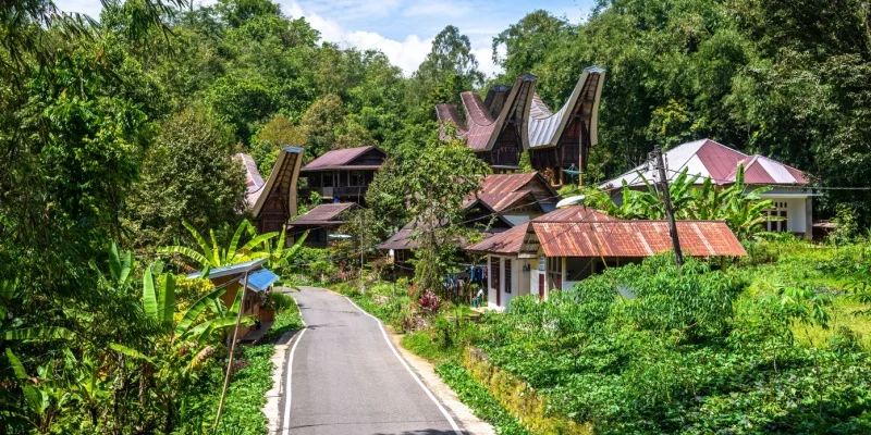 Toraja Land (Tana Toraja)