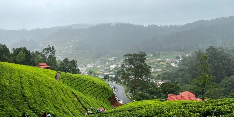 Incredible Places to Visit in India That Every Tourist Must See 8